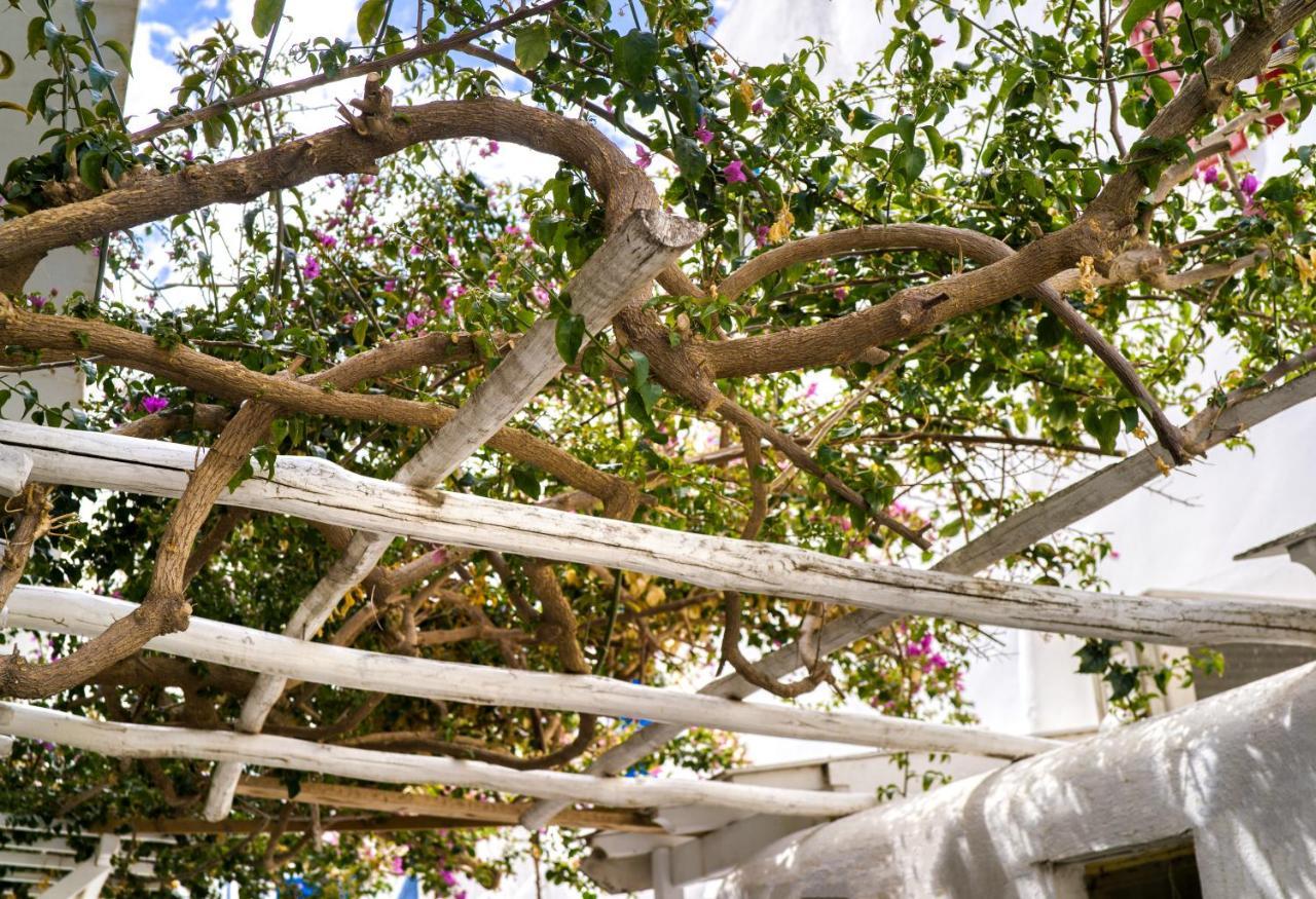 Ferienhaus K&k @mykonos Town Mykonos Town
